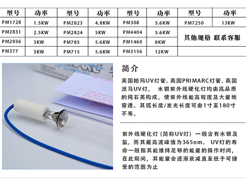进口派玛UV固化灯
